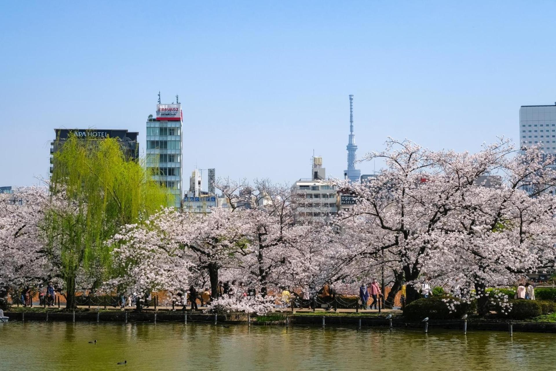 Stayme The Hotel Ueno Tokyo prefektur Exteriör bild
